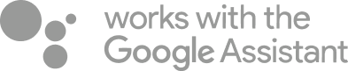 Google Assistant