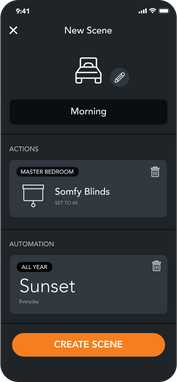 Create Scenes from brilliant mobile app